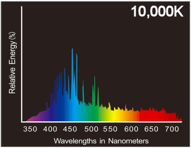 Aqua Bright Solutions 1000 Watt 10,000K Metal Halide Mogul Base Bulb